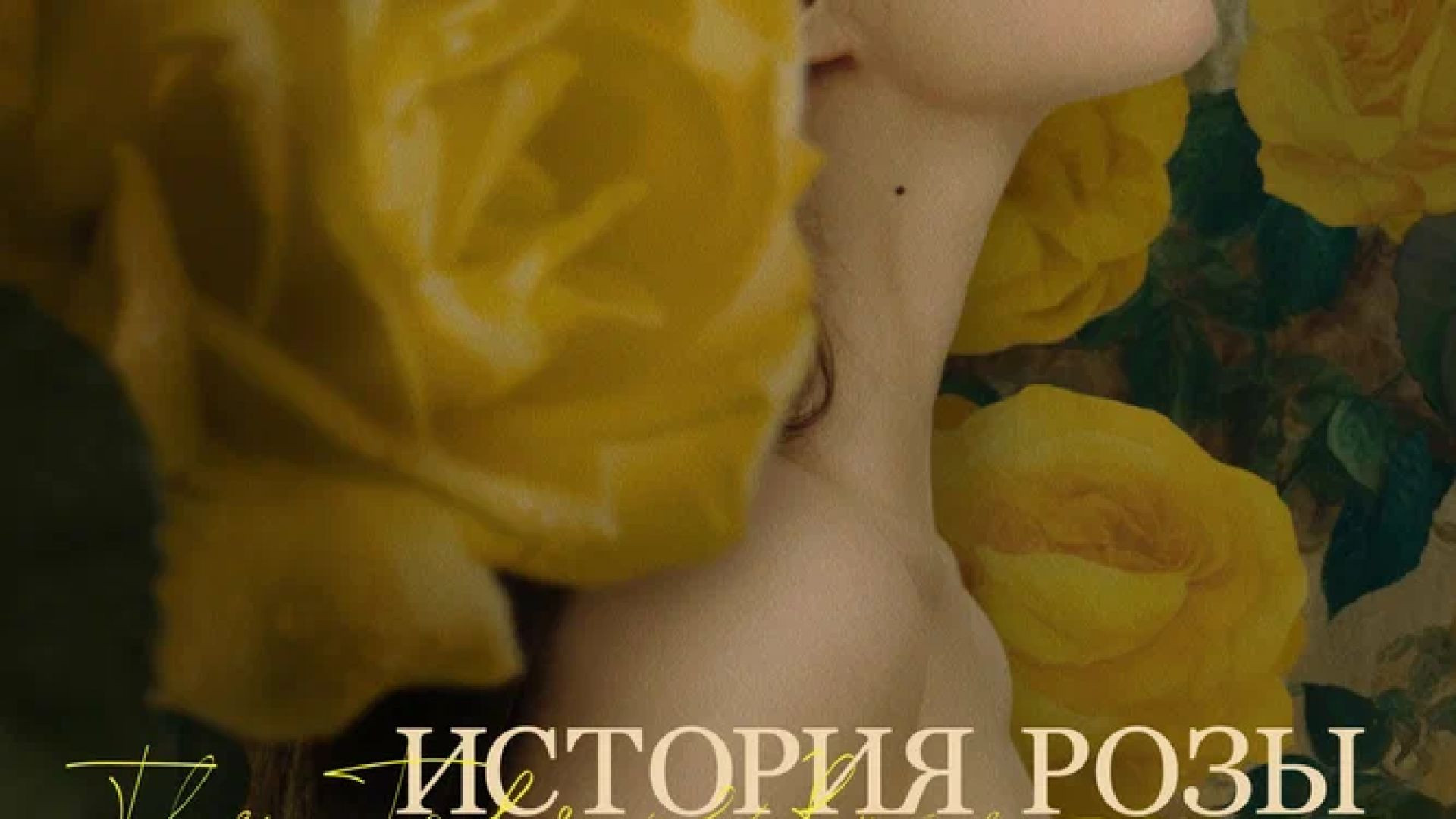 История розы 2024
